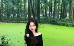 扬思敏1一5集国语版免费